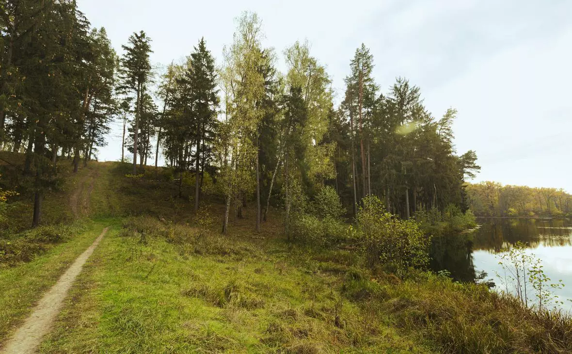 ru.freepik.com