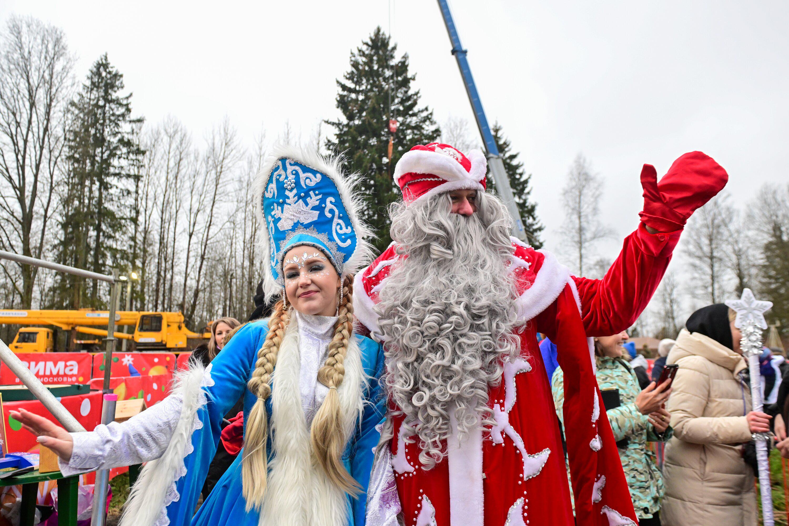 Церемония спиливания главной новогодней елки России в Рузском муниципальном округе, 8 декабря 2025 года
