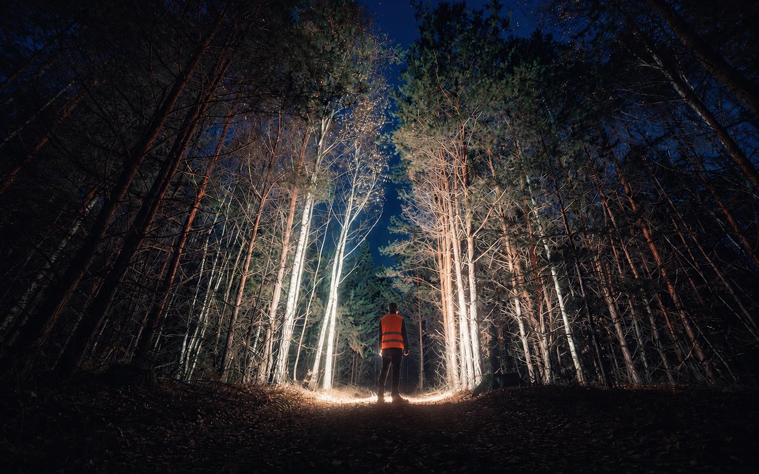 Фото: Shutterstock