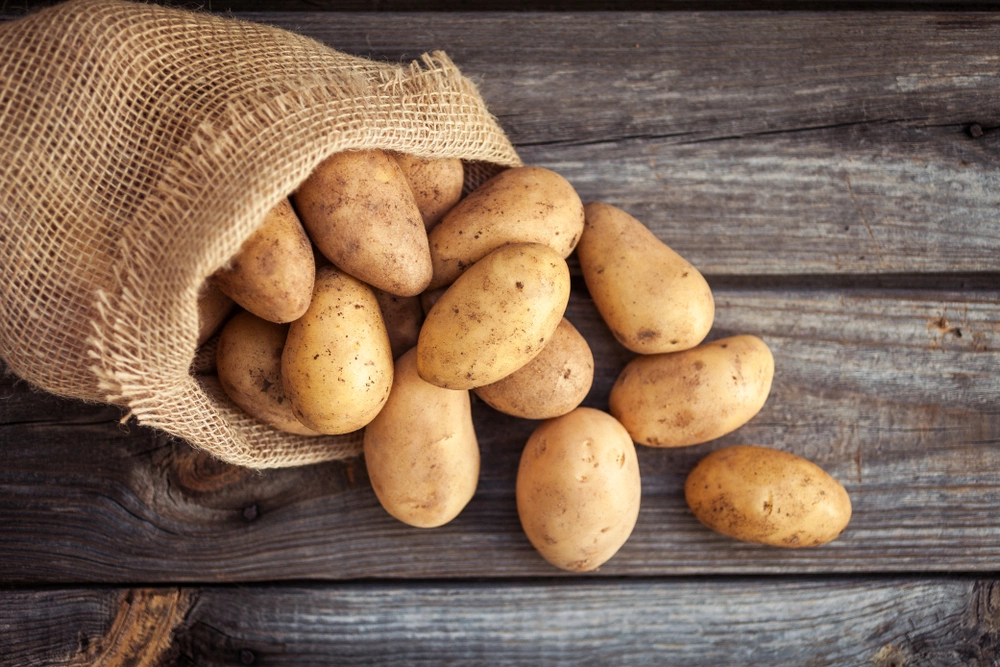 Калорийность и пищевая ценность Картофель вареный без кожуры без добавления соли