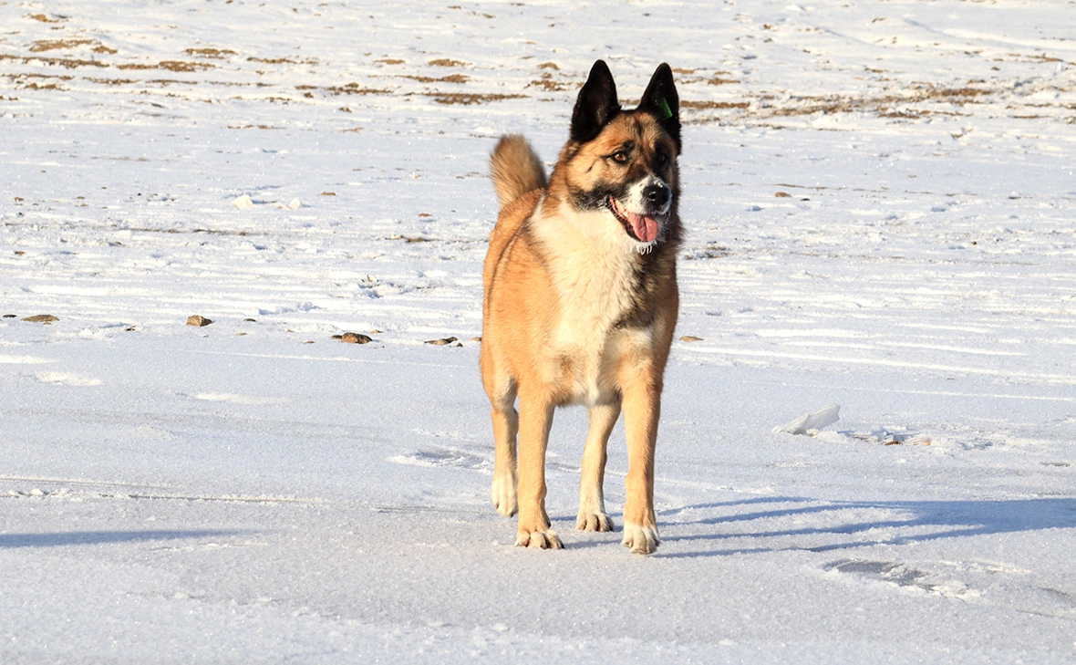 Елена Майорова / Global Look Press
