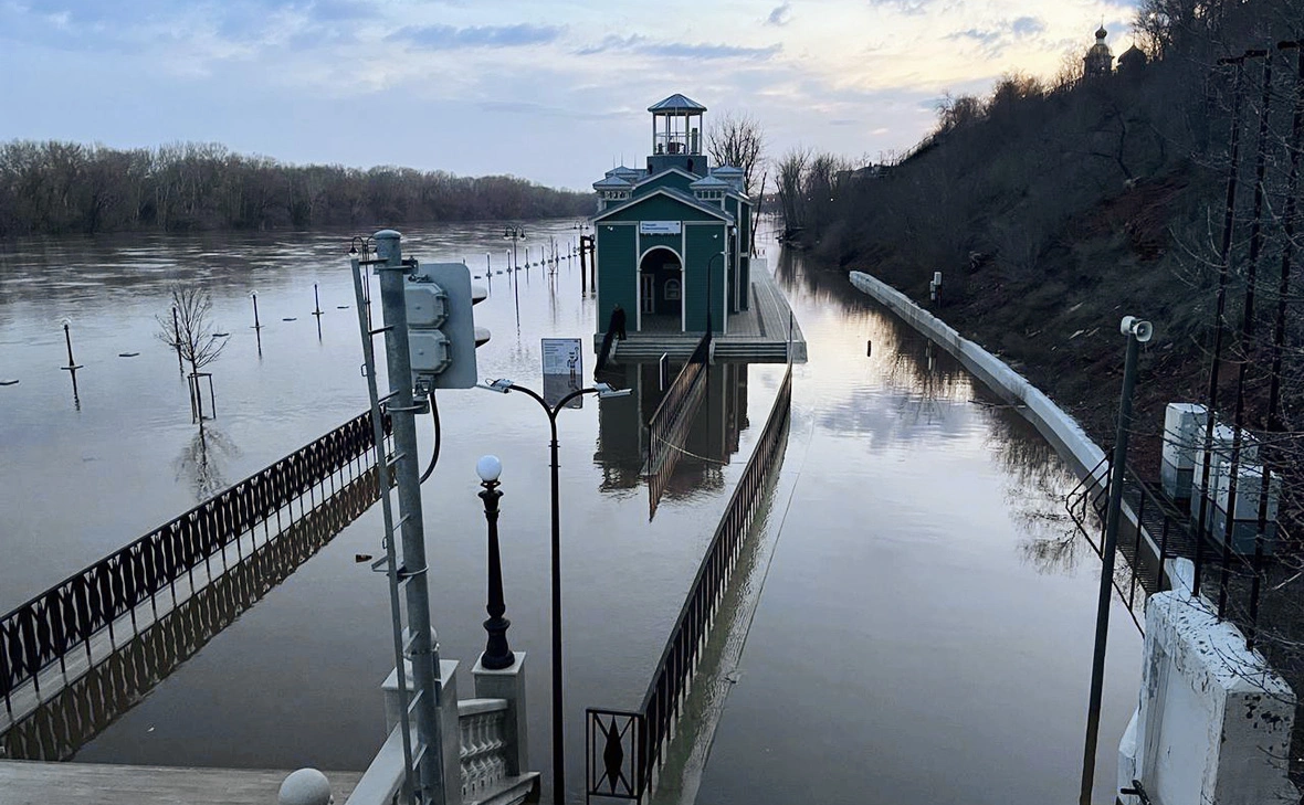Мария Лисицына / РБК