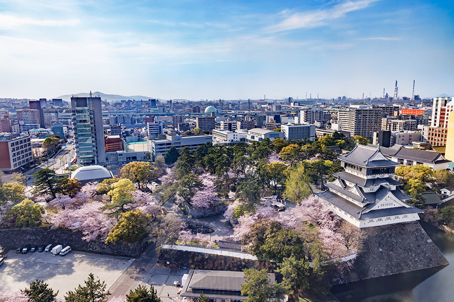 Фото: taka1022 / Fotodom / Shutterstock