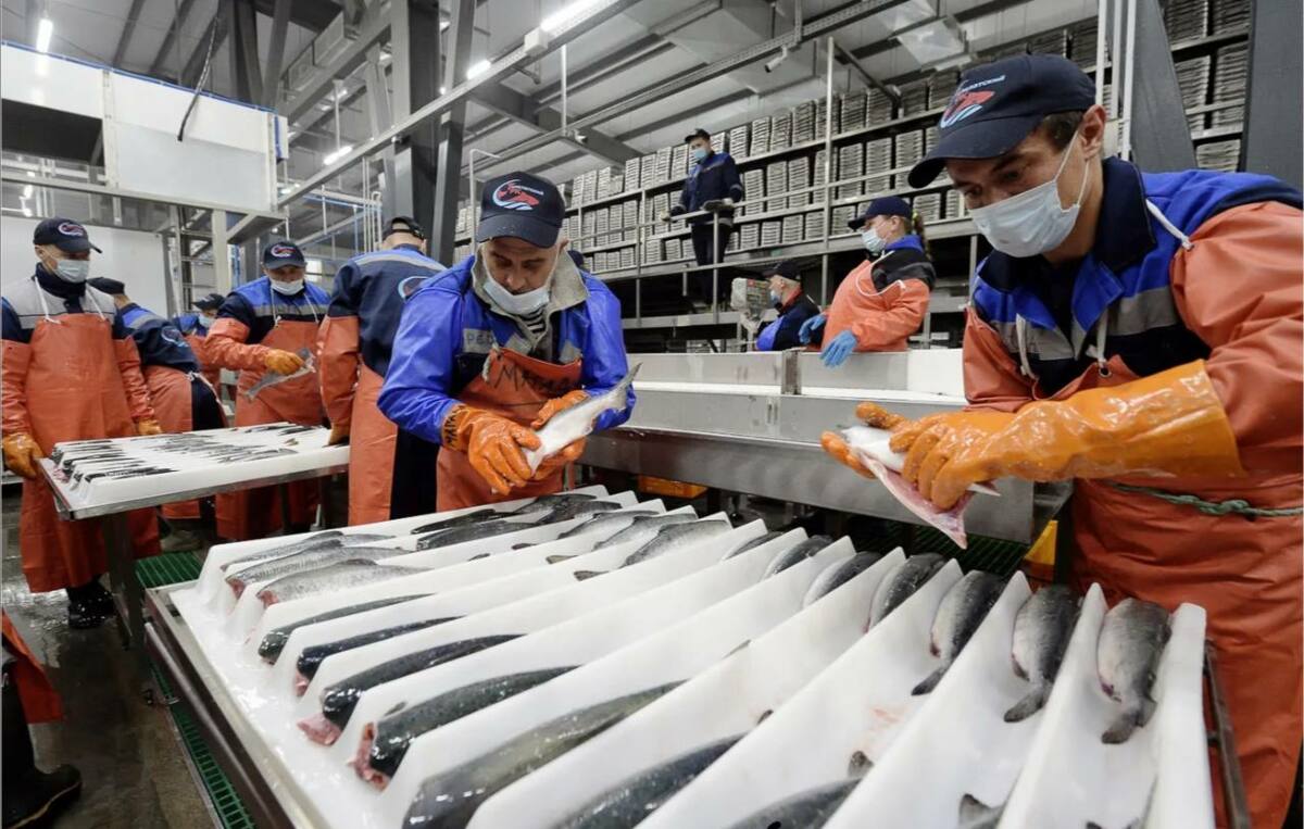 Фото: Правительство Приморского края