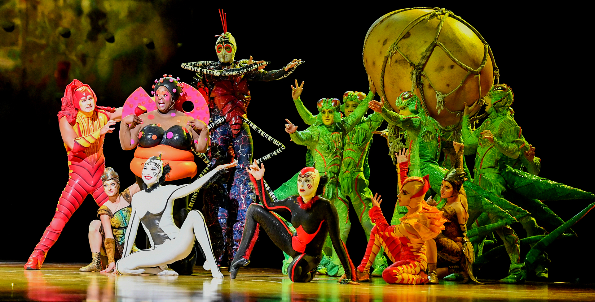 Cirque du Soleil: самый солнечный цирк
