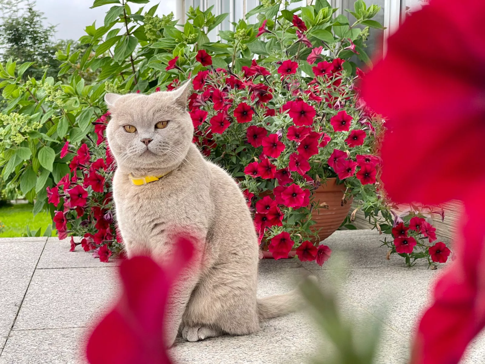 РБК Приморье