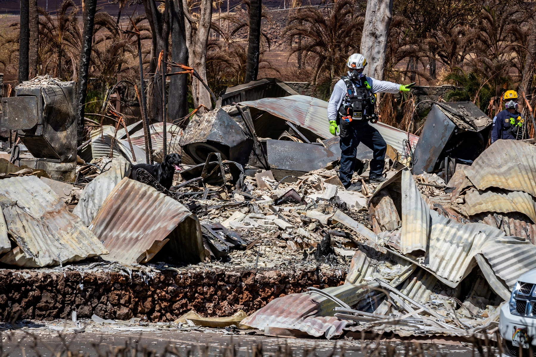 <p>Поисково-спасательная группа работает в завалах города Лайхана на Гавайях, который выгорел практически дотла. Власти США назвали катастрофу самым разрушительным природным пожаром в стране за последние 100 лет</p>