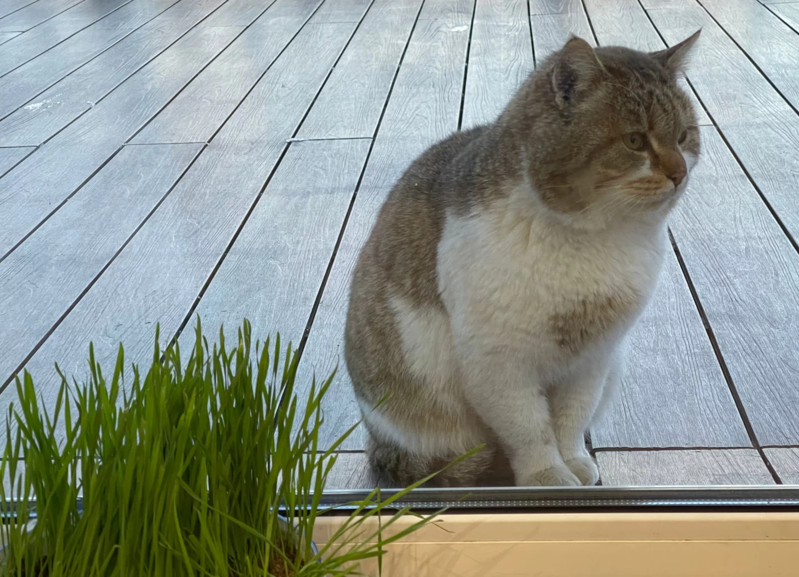 РБК Приморье