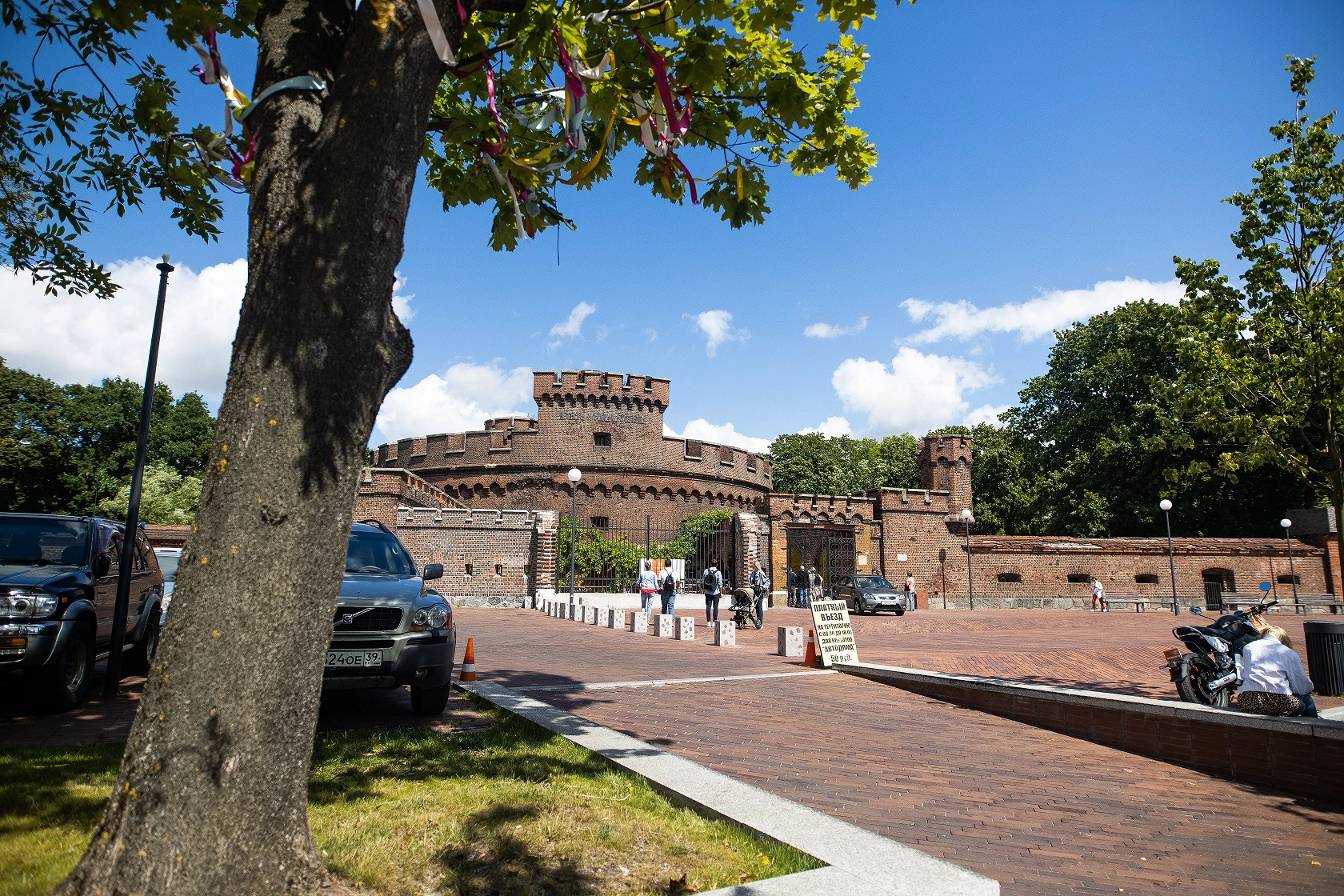 Александр Подгорчук