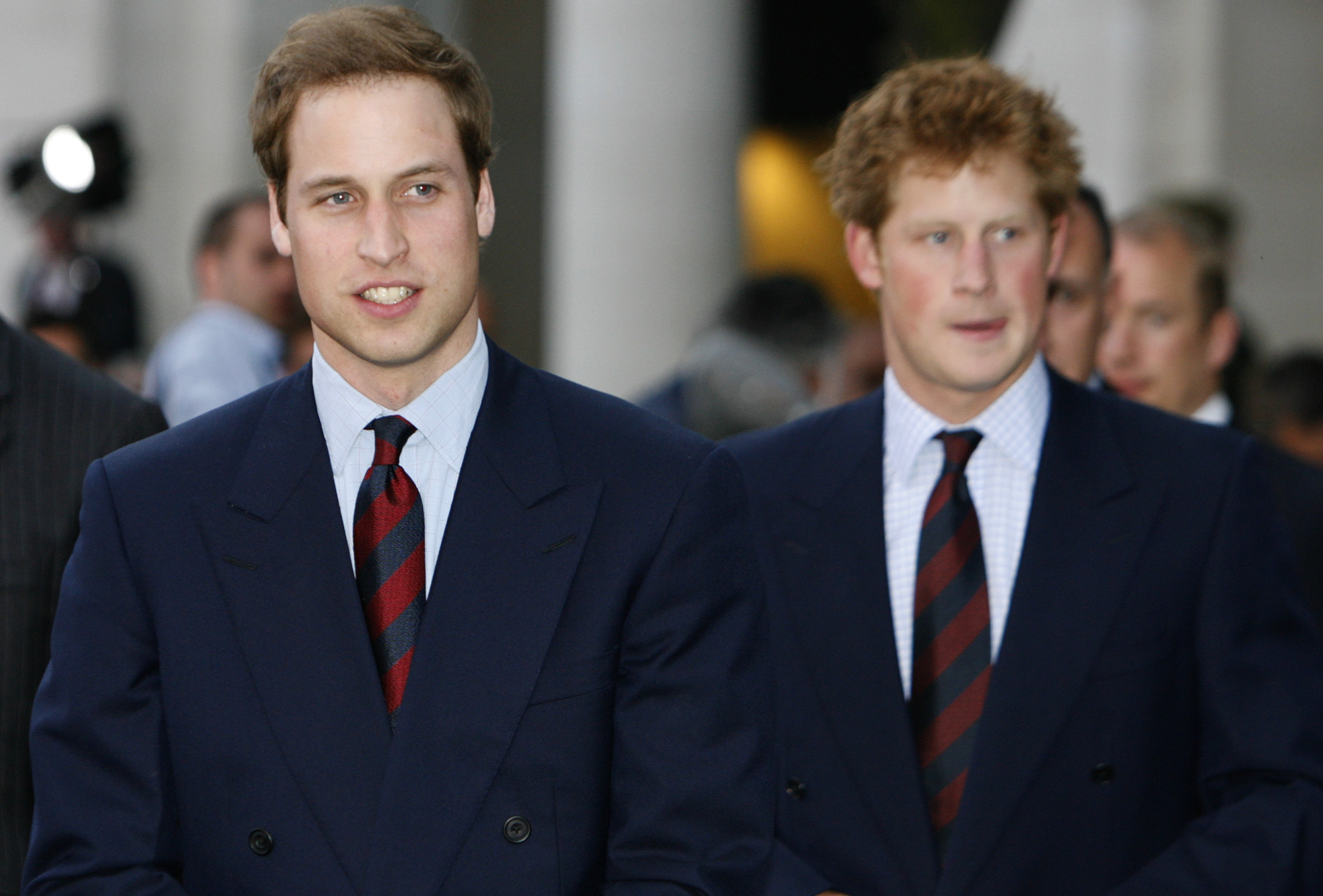 Принц Уильям и Принц Гарри, 2008