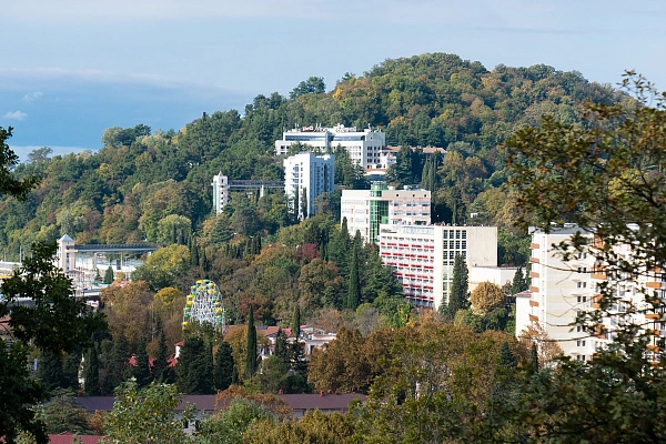 sochi.ru