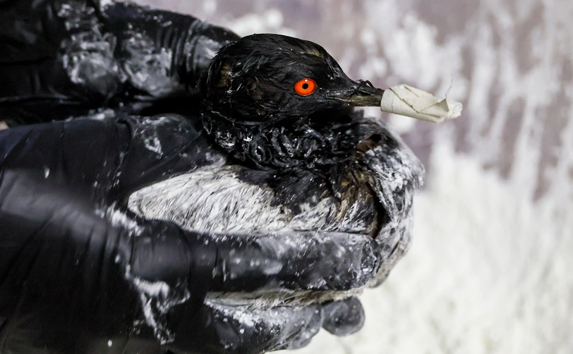 Сергей Мальгавко / ТАСС