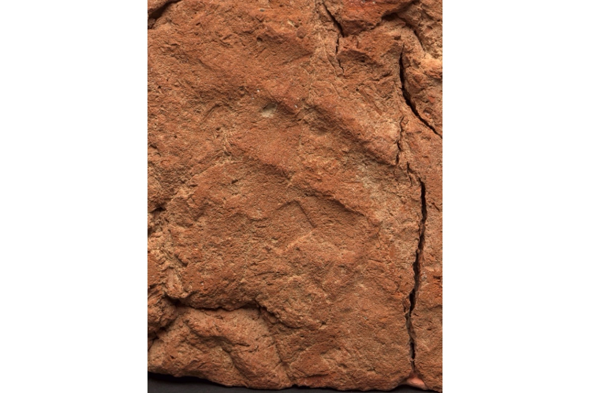 4000-летний отпечаток руки