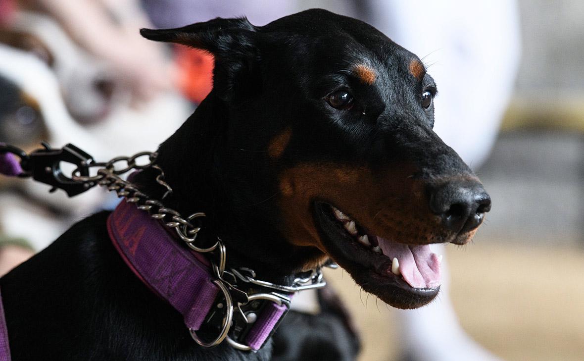 Фото: Илья Московец / URA.RU / Global Look Press