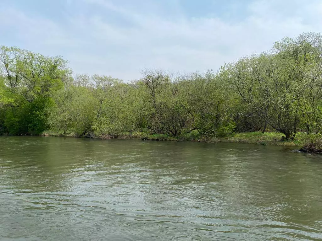 РБК Приморье