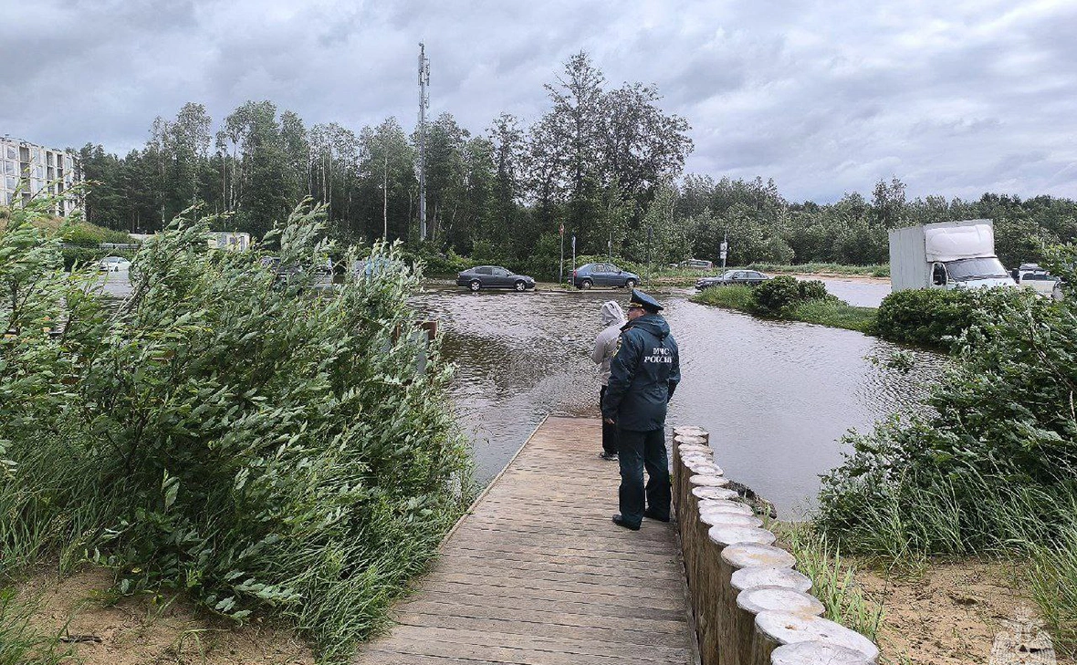 МЧС России по г. Санкт-Петербургу