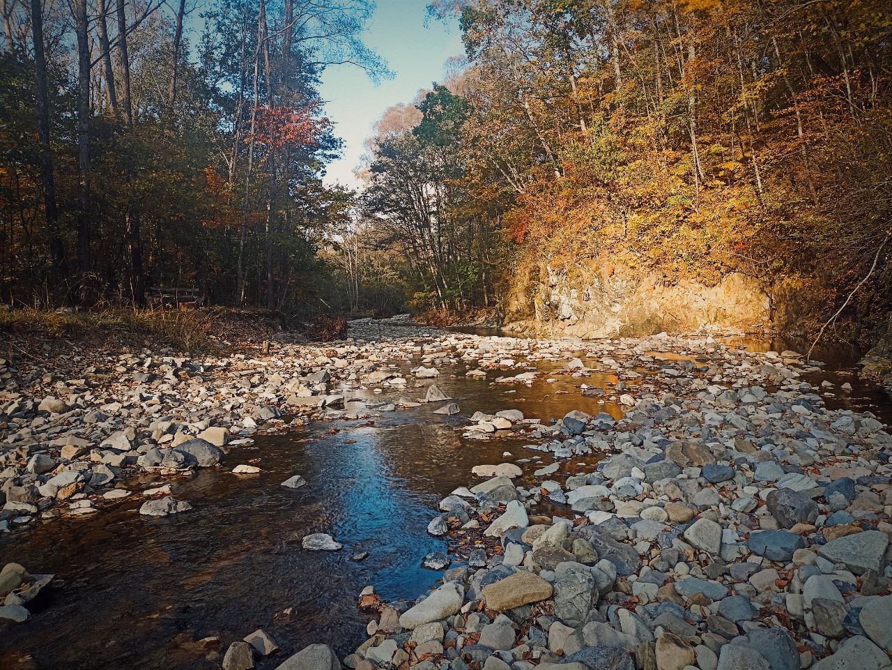 Фото: РБК Приморье