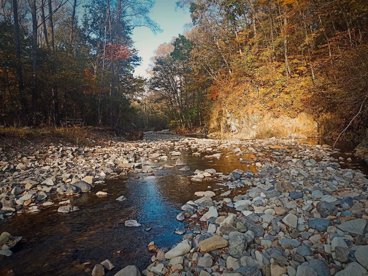 РБК Приморье