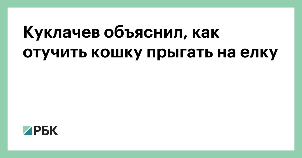 Как отучить котенка прыгать на кровать