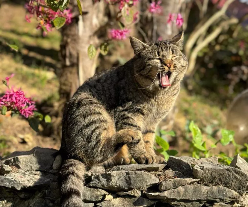 РБК Приморье