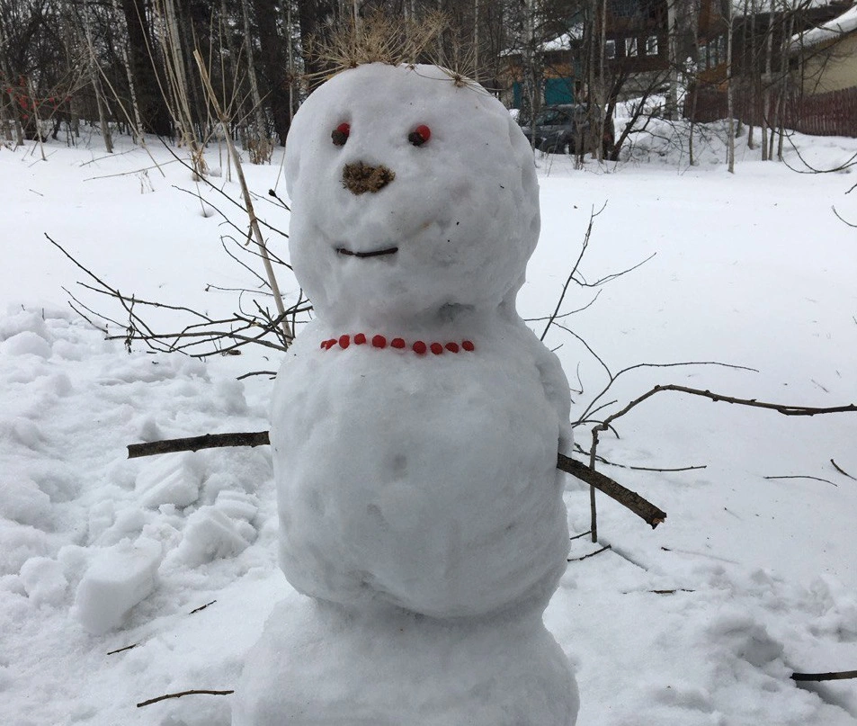 РБК Новосибирск