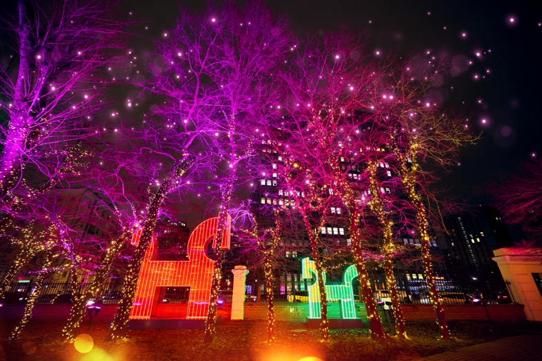 Фото: пресс-служба Комплекса социального развития Москвы