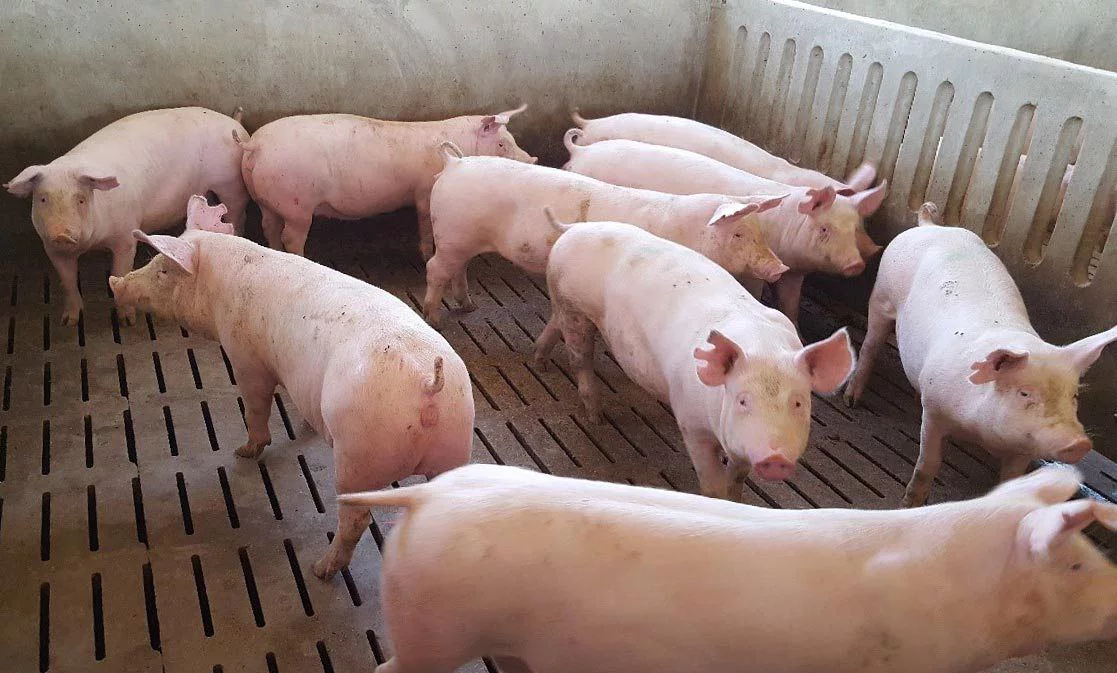 Управление Росприроднадзора по Нижегородской области и Республике Мордовия