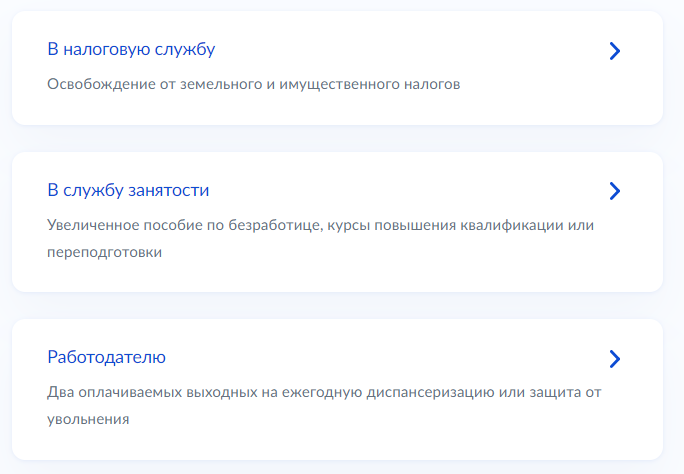 На портале «Госуслуги» необходимо сразу указать цель получения справки, выбрав нужный пункт из предложенного списка