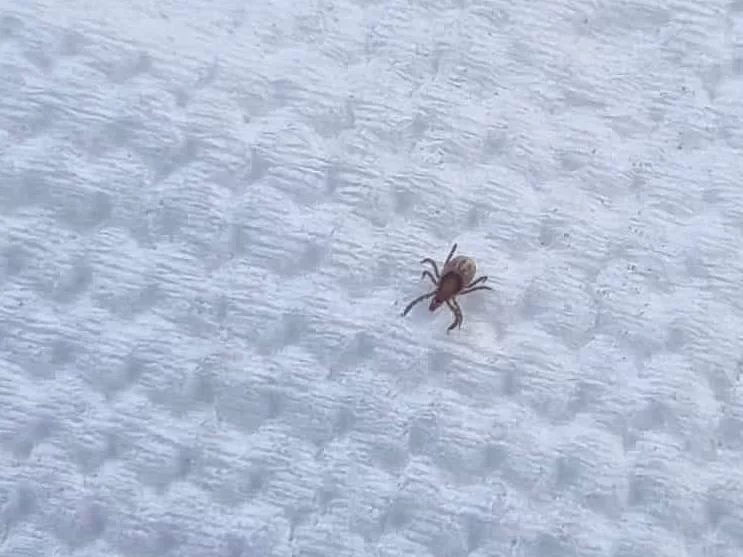 РБК Приморье