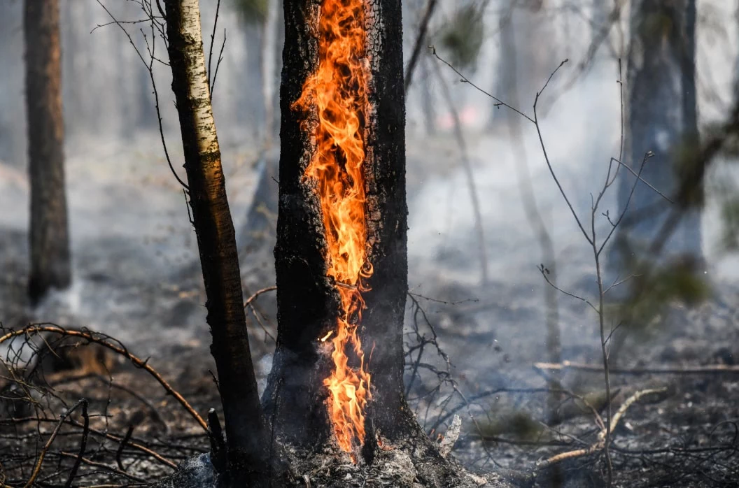 Владимир Жабриков / URA.RU