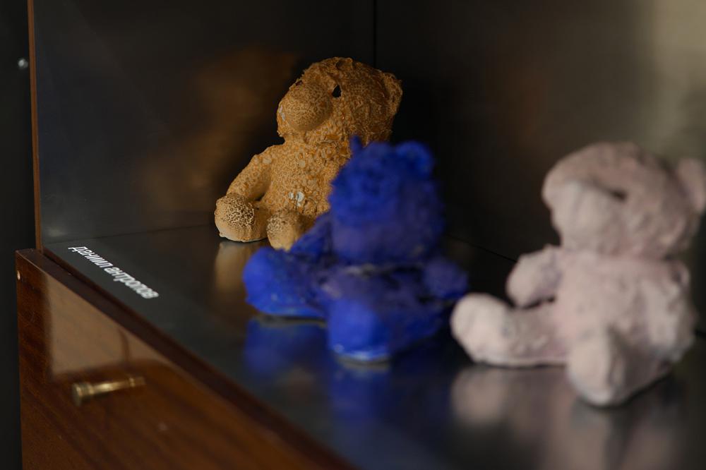 Даниил Антропов, из серии Teddy&nbsp;