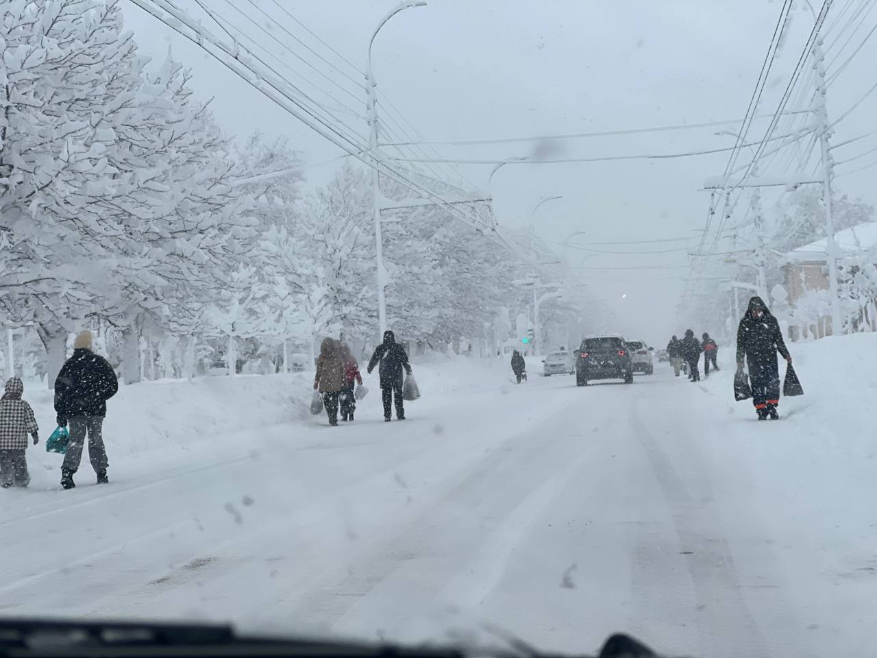 Фото: Наталья Радчук, РБК Краснодар