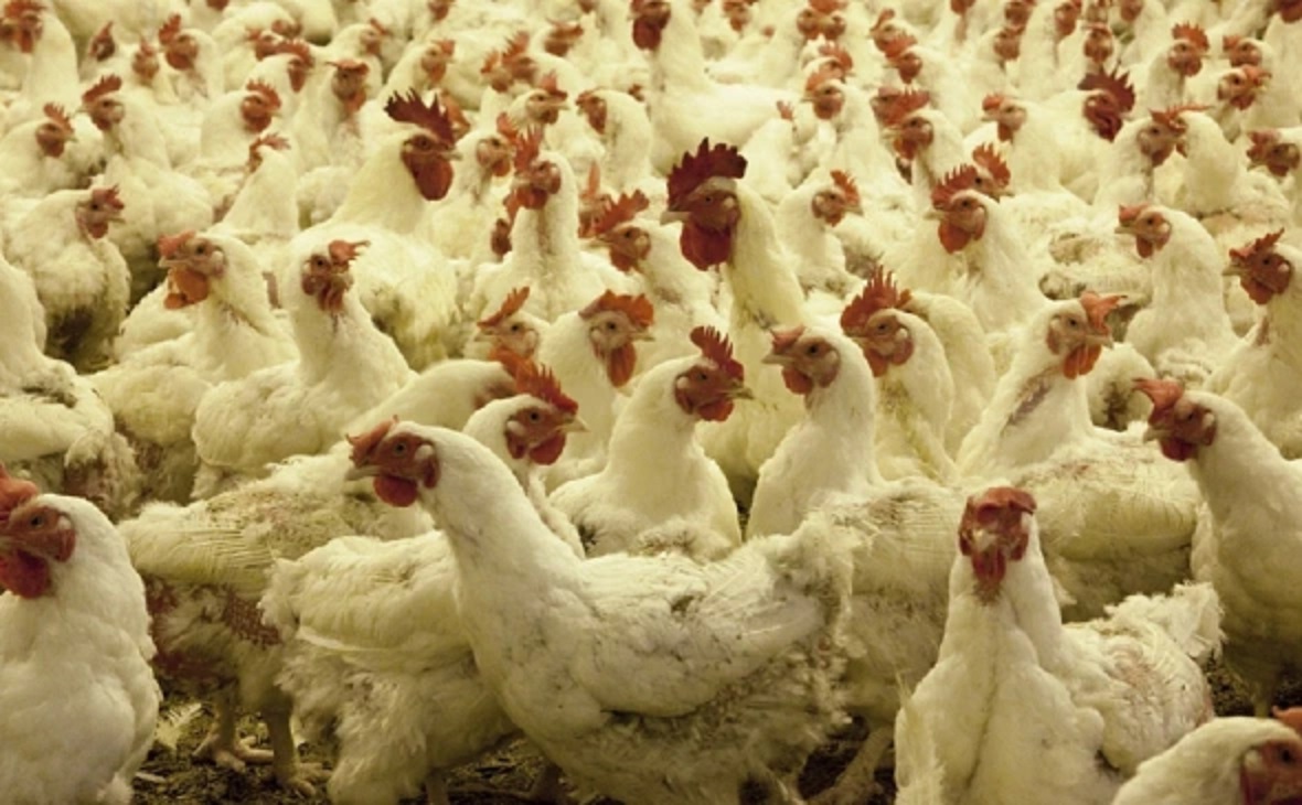 Фото: pxhere.com