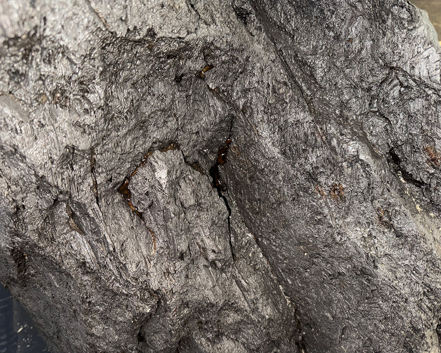 Фото: пресс-служба Балтийской таможни