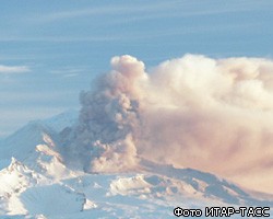 Вулкан Шивелуч на Камчатке выбросил пепел на высоту до 10 км