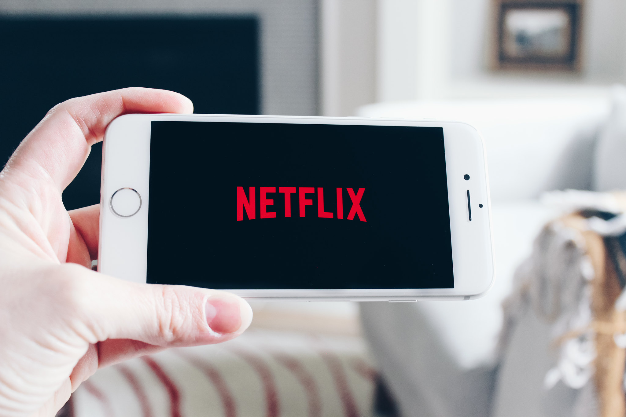 Netflix сообщил о 16 млн новых подписчиков. От акций ждут роста до $580 |  РБК Инвестиции