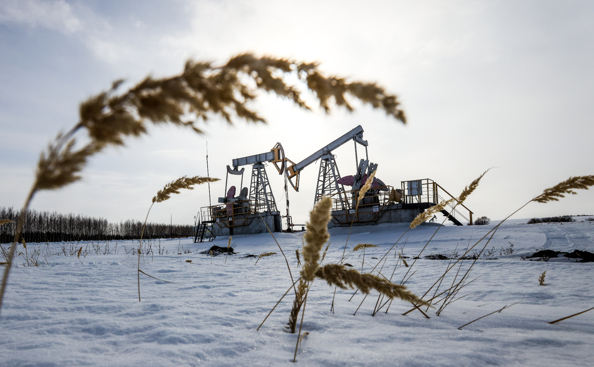 Reuters узнал об отказе госкорпорации Индии от закупки нефти Urals — РБК