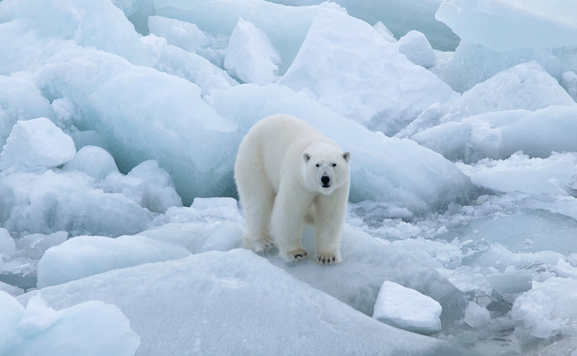 Владислав Кадышев / Global Look Press