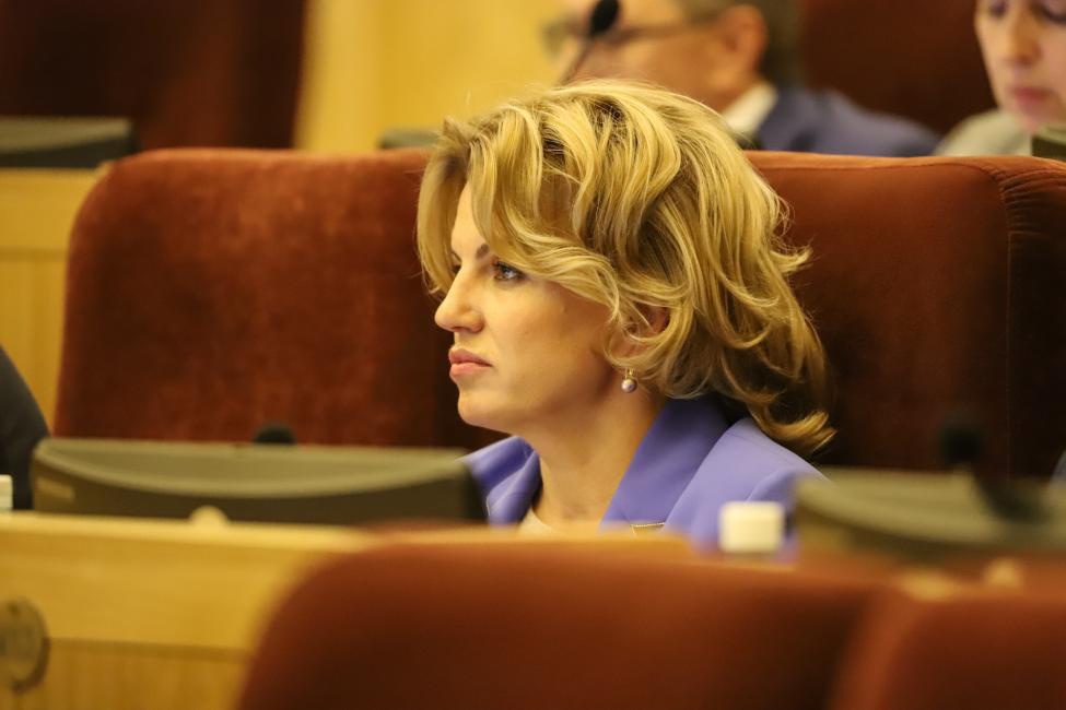 Вице-спикер областного парламента Ирина Диденко (Фото: пресс-служба Заксобрания Новосибирской области)