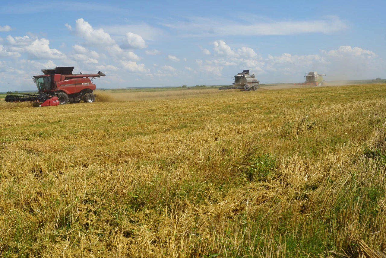 Минсельхоз Амурской области