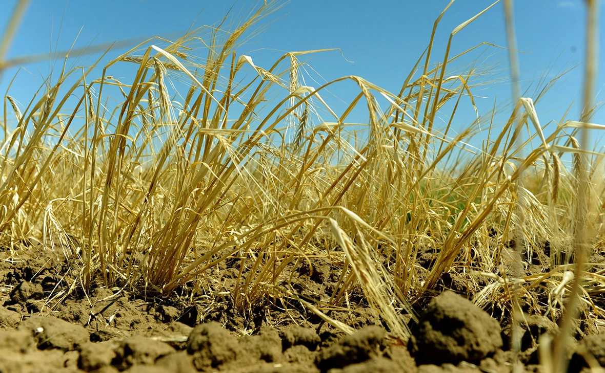 Дмитрий Рогулин / ТАСС