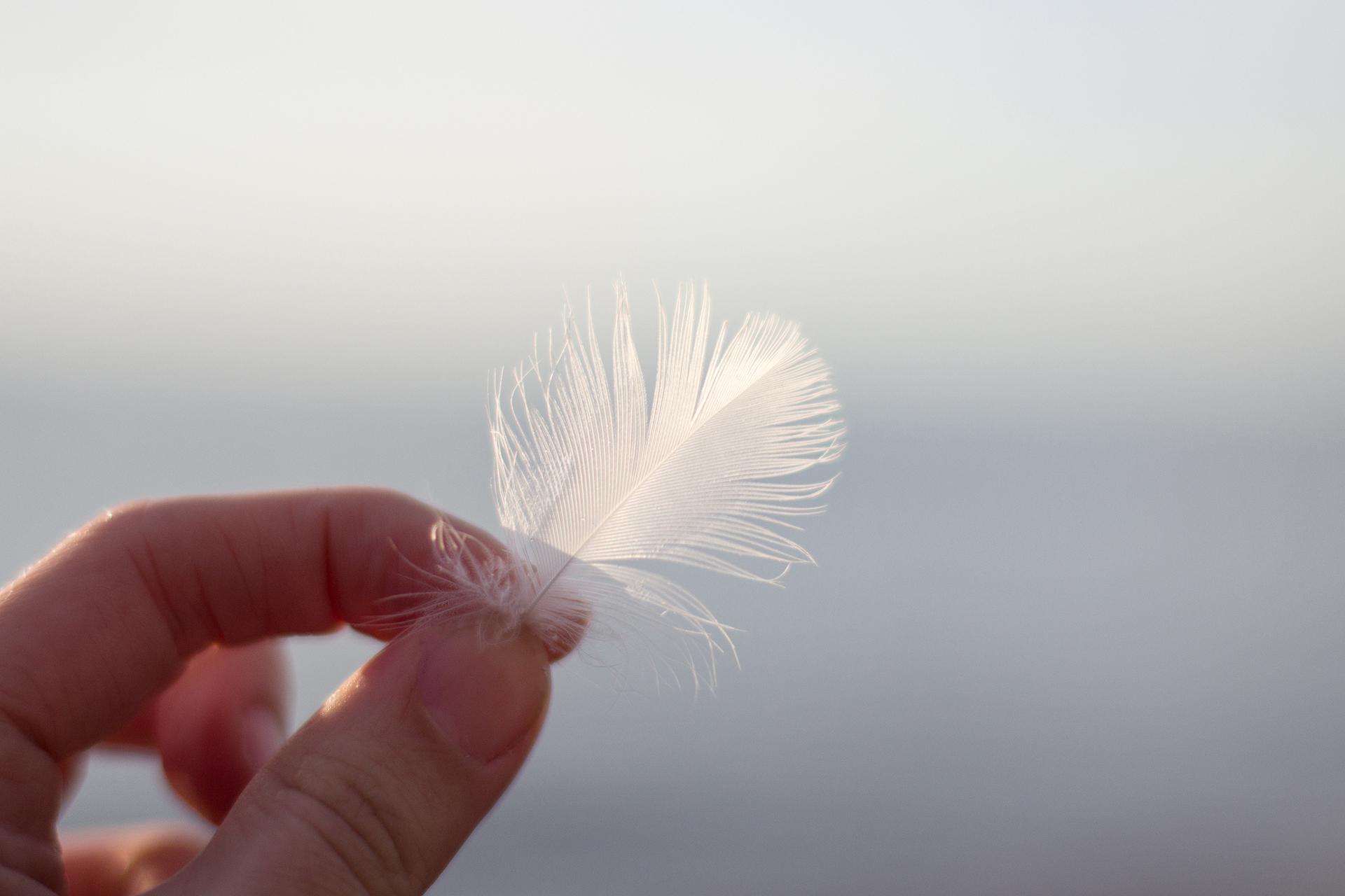 Фото: Elena Mitusova / Shutterstock / Fotodom