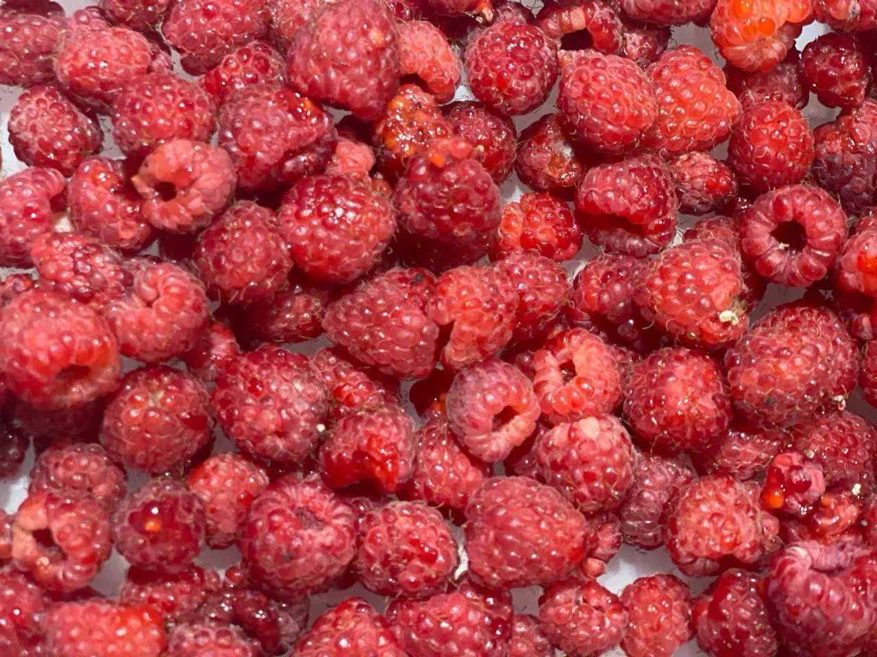 РБК Приморье 