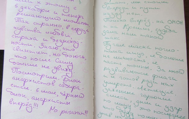 Фигурант дела о Болотной в дневнике признался в стремлении идти на Кремль