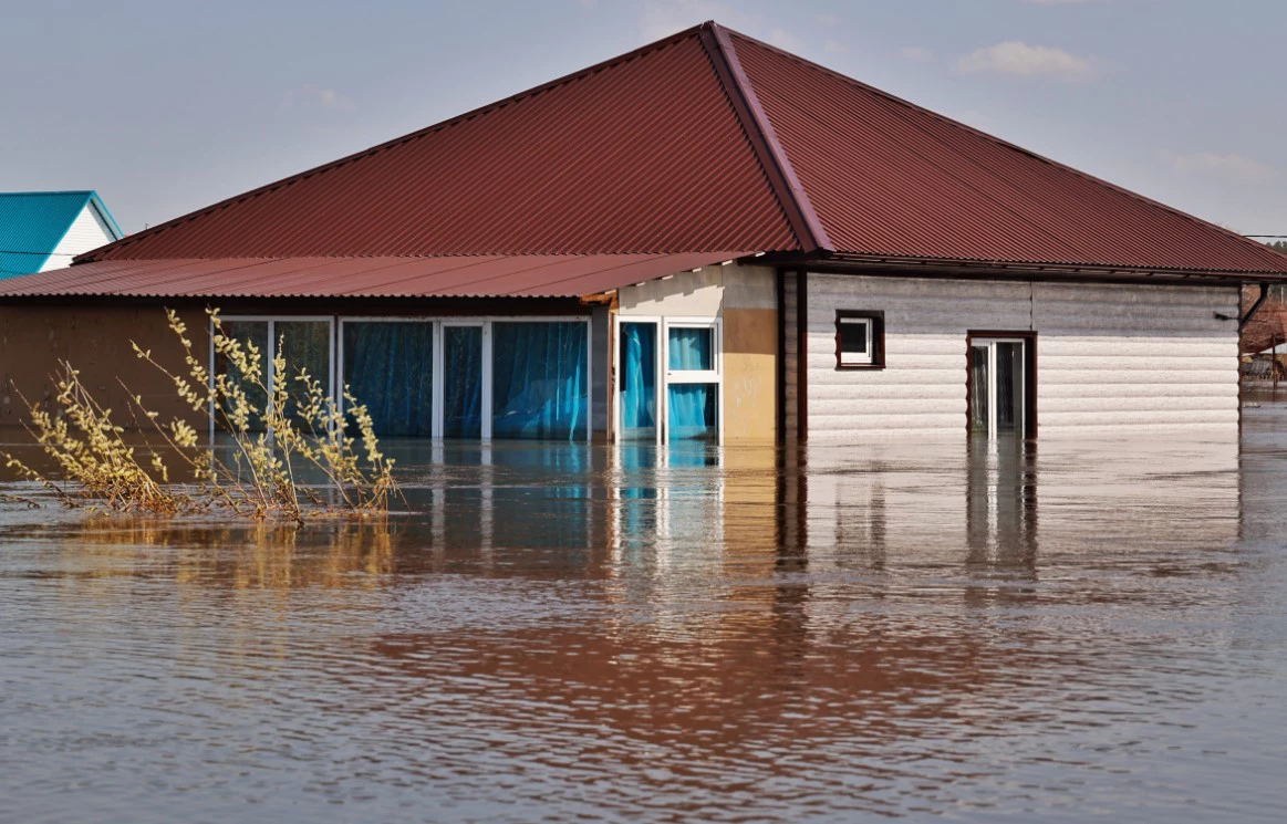 Екатерина Сычкова / URA.RU 