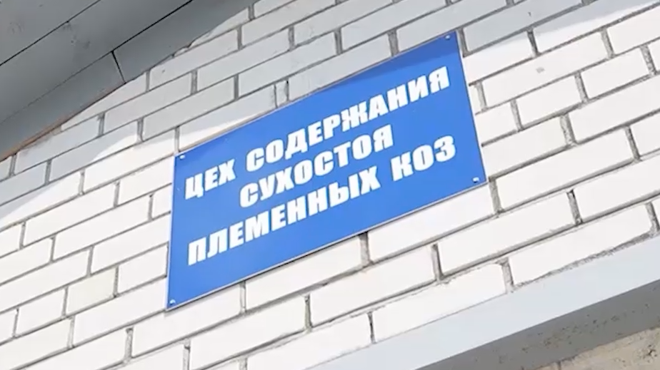 Лукашенко потребовал очистить Белоруссию к осени от валяющихся бревен