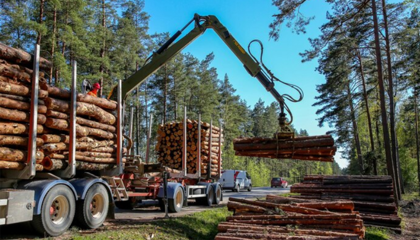 Фото: ru.freepik.com, Eye Em