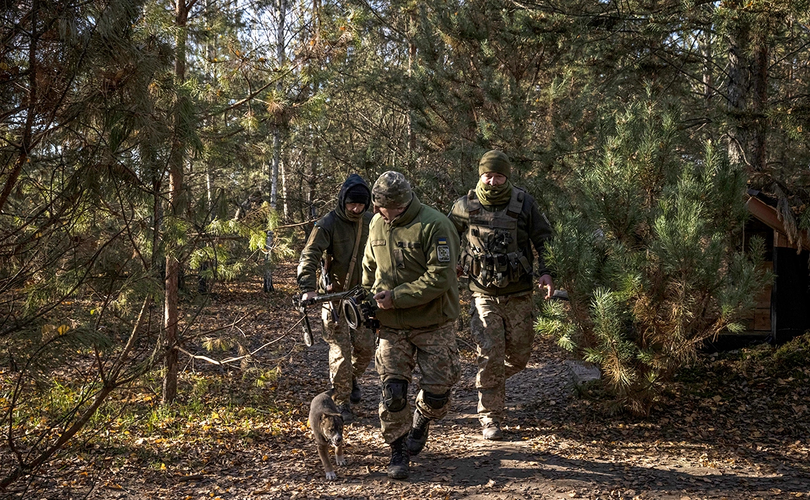 Ed Ram / Getty Images