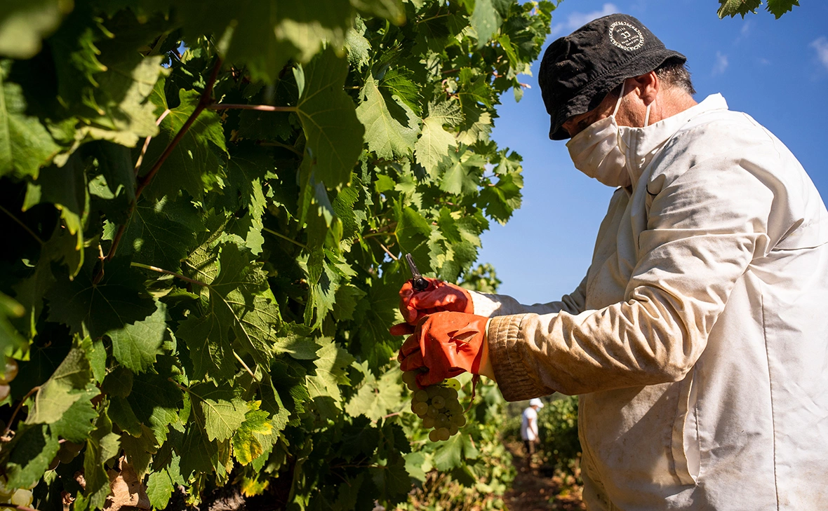 Julien Goldstein / Getty Images