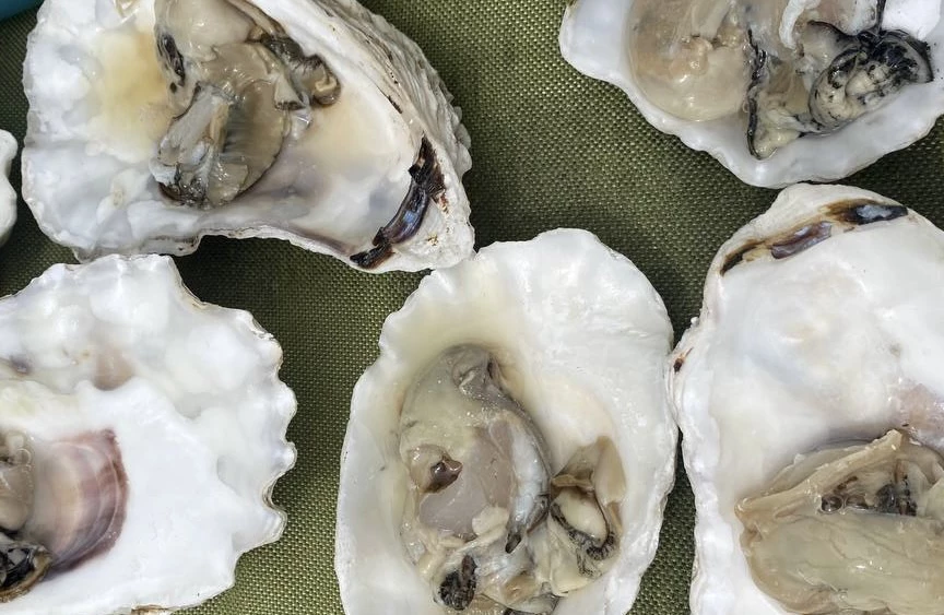 РБК Приморье